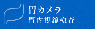 胃カメラ